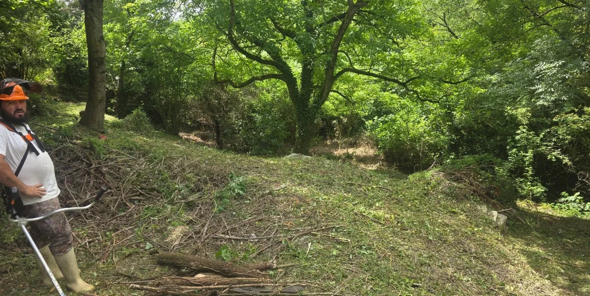 Débroussaillage d’un terrain arboré par RJ Entretien